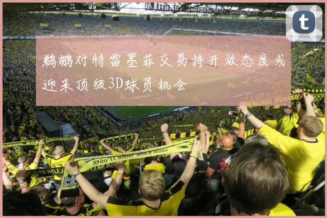 鹈鹕对特雷墨菲交易持开放态度或迎来顶级3D球员机会