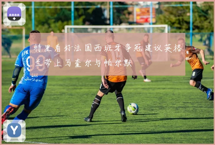 特里看好法国西班牙争冠建议英格兰带上马奎尔与帕尔默